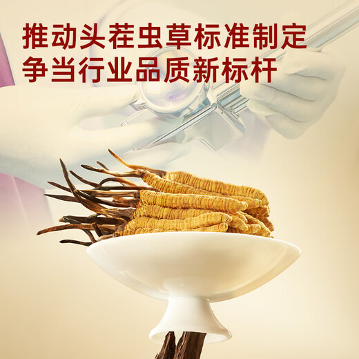 阿依舍冬虫夏草新干虫草礼盒装4-5根/g15克约64根冬虫草补品送父母