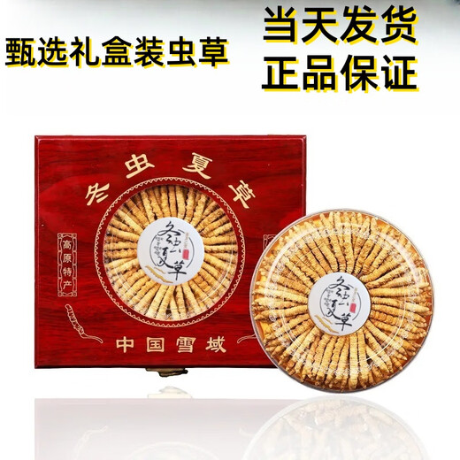 鹿章堂冬虫夏草礼盒装正宗藏区雪山虫草送礼佳品品质保证当天发货 西藏那曲精品虫草4条1克50条