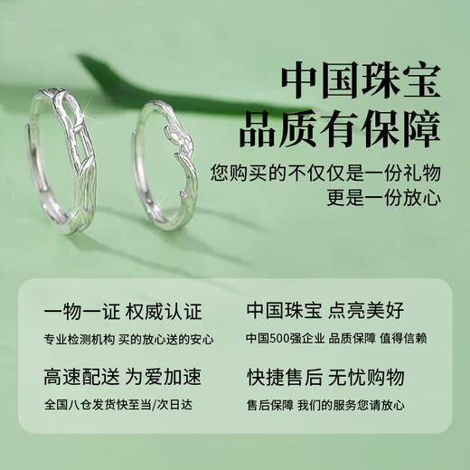 Chinese Jewelry Pure Silver Couple Ring with Branches for Men and Women, Proposal and Confession Anniversary, Birthday Gift for Girlfriend