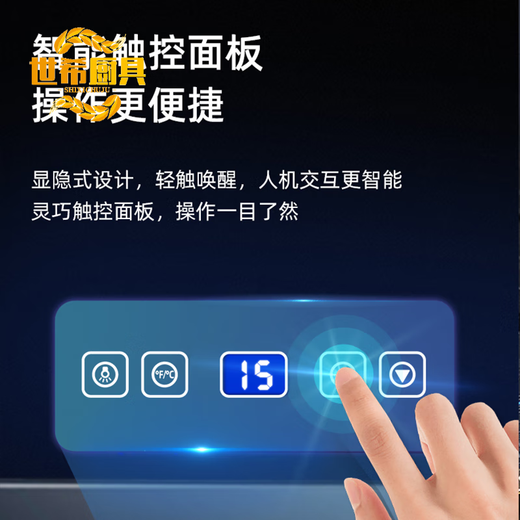 Shixi Light Luxury Flagship Constant Temperature Red Wine Cabinet Small Mini Household Tea Refrigerator Ice Bar Red Wine Refrigerator Wine Cabinet Dark Night Black (18T Beech Shelf Model)