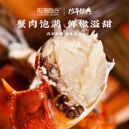 Live Crab Yangcheng United Fresh Hairy Crab Male 6.0-6.3 Liang Female 5.0-5.3 Liang 5 Pairs of 10 Crabs New Year Gift Box Directly from the Source