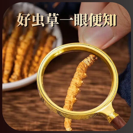 Beijing Tongrentang Pangdonglai Tonglai Cordyceps Cordyceps Boîte-cadeau Tonic Cordyceps Box cadeau King Produits nutritionnels Matériaux médicinaux toniques 50 Boîte-cadeau (Spécifications 3 tiges par gramme)