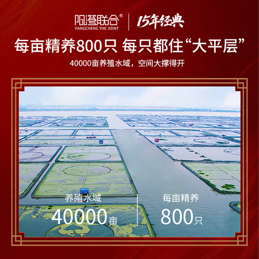 【礼券】阳澄联合大闸蟹礼券螃蟹券蟹卡礼盒礼品卡节日送礼提货券 9855型公6.0两 母5.0两 5对10只
