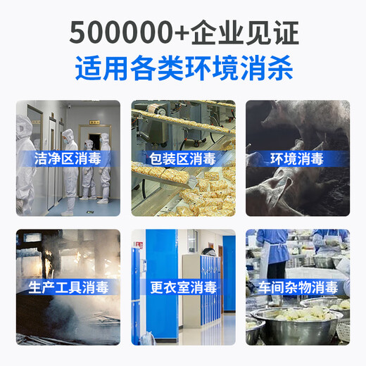 ANLEAVO ozone generator food factory disinfection ozone machine industrial workshop school hospital municipal garbage room cold storage warehouse archives air purifier sterilization, deodorization and odor removal 10g/h (applicable to 100-130 square meters)