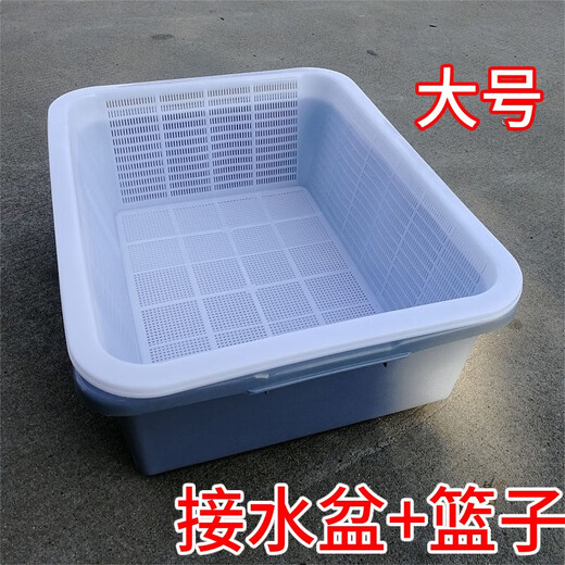 Sanqi Tiger Größer und verdickter Doppelabflusskorb Kunststoff Gemüse Waschkorb Hotel Küche Waschkorb Reiskorb Katzendrüsenbox vertiefen A3+691) Weißer Abstand 3,5 cm