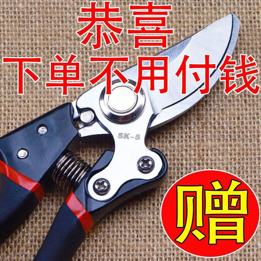 German craftsmanship imported steel branch shears, tree scissors, fruit tree shears, pruning scissors for household flowers, trees and grapes to prune branches. 100% sharp + strong hardness. Not the main picture. On sale. German imported steel blades. Clearance.