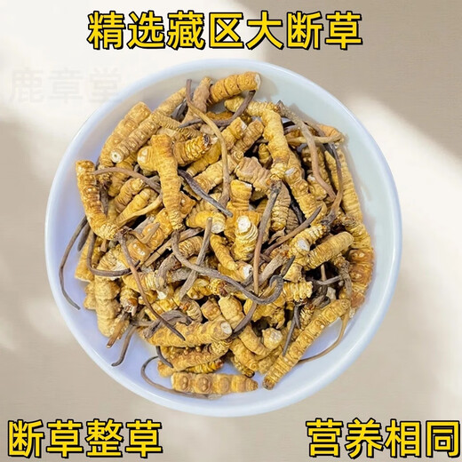 Cordyceps sinensis large broken grass Tibetan area high-quality cordyceps self-eating discount on the same day shipment 2025 head-off cordyceps Tibetan area high-quality large broken grass 20 grams pack