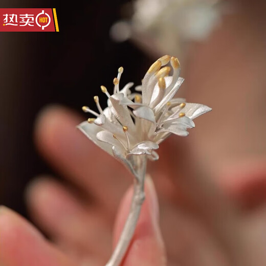 Shijun (SHIJUN) new Chinese style hairpin women's niche design classical and elegant hair accessories jewelry retro cheongsam accessories