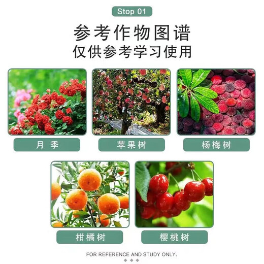 2% benzylaminopurine rose fruit tree flower flowering and germination-preserving flower and fruit-preserving cytokinin 1000ml