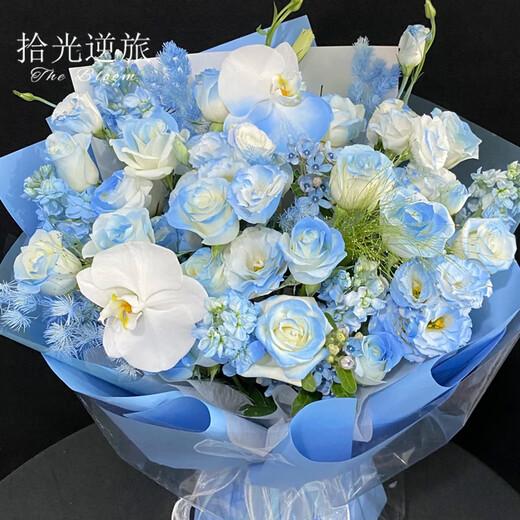 Pick up light and reverse travel flowers. Deliver in the same city. Michigan crushed ice blue rose bouquet for your girlfriend’s birthday gift. The bouquet arrives within an hour. Dielianxingchen | Crushed ice blue with fountain grass, blue star flower and platycodon mixed bouquet.
