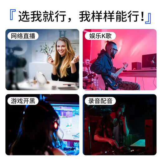 Taidu TSP205 Desktop Microphone Computer Anchor Live Microphone Special Noise Reduction Conference Recording Voice E-Sports Game USB Condenser Microphone Desktop Laptop Karaoke Online Class USB Version TSP205 Computer Special + Monitoring Headset