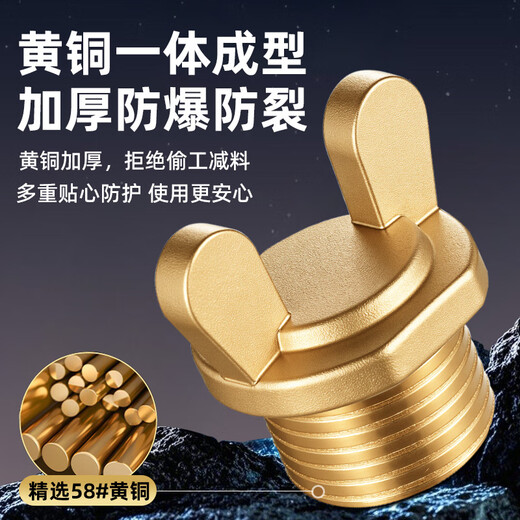 A beautiful brass thickened 4-point outer wire water pipe plug, quarter-triangular valve plug, faucet plug, explosion-proof 20 bulk head, 4-point external wire horn plug, copper color