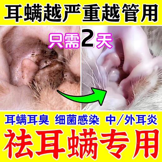 Special medicine for cat ear mites, pet ear skin ear anti-inflammatory ear drops, cleaning, removing mites, relieving itching, antibacterial cleaning solution, 1 bottle of 60ml, free cotton swab