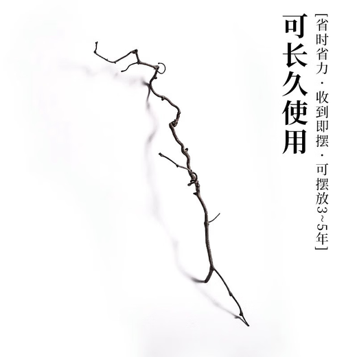龙枣干枝树枝树干装饰弯曲龙爪插花干枝风干干花 天然龙枣枝15885cm 一物一拍 干树枝