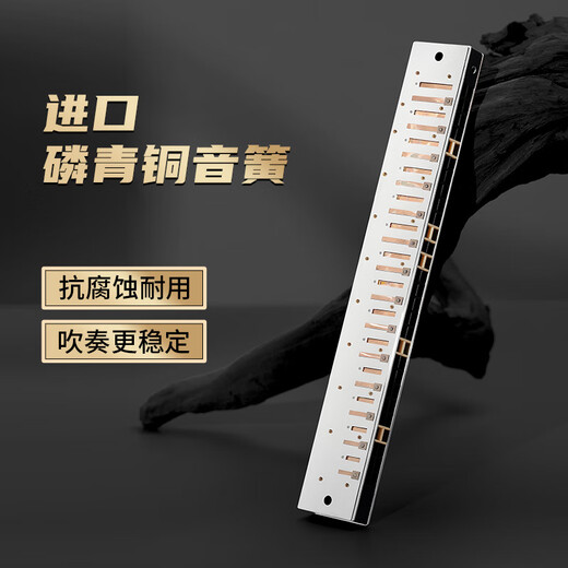 Guoguang 28 Kong Guos Traum importierte Gong-Wettbewerbsniveau Akzent C-Tuning Mundharmonica (Athen Black/mit Lehrbuch)