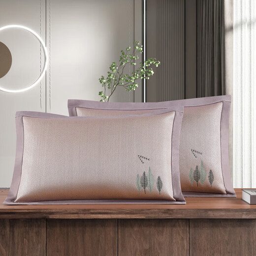 Der gleiche Stil Sommereiseisenkissen für die gesamte Baumwoll-Ära, doppelseitige kühle Mattenkissen-Hülle für den Sommer Cool Piercing Core für Erwachsene, Ice Vine 679-Coffee-Kissen (ein Paar) kann gewaschen werden