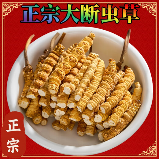 【支持质检】10克大断草正宗冬虫夏草断草虫草断草自食滋补正品 虫草大断虫草 30克装送三克发33克