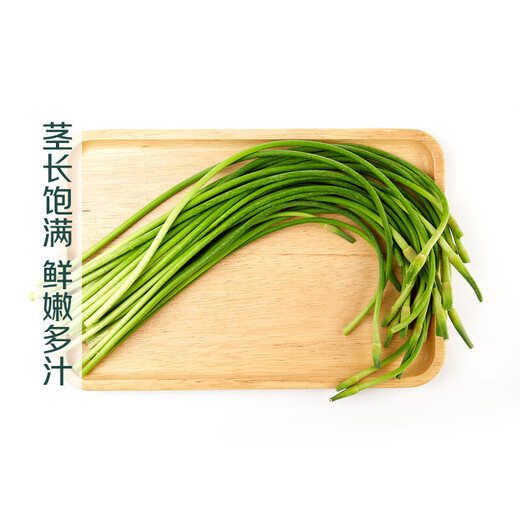 Shandong Cangshan garlic moss about 300g