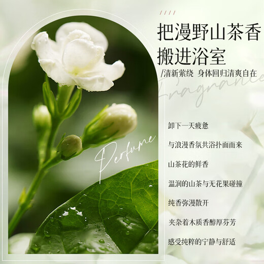 [Camellia Fragrance] Шампунь Camellia удаляет перхоть и контролирует нефтяной пушистый и длительный аромат, чтобы питать увлажнение и увлажнение увлажняющей 500 мл 2 бутылок с большой емкостью.