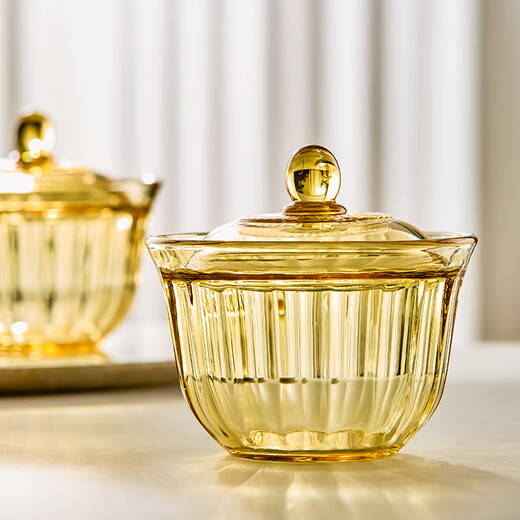 Corning (VISIONS) glass stew pot 450ml crock pot stew steamed egg custard bowl with lid, one person, one cup dessert bowl, heatable and high temperature resistant