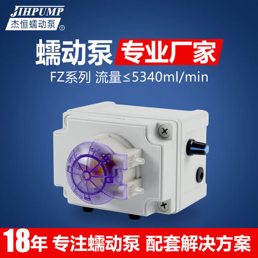 蠕动泵FZ系列实验室小型大流量恒流泵自吸循环定量计量抽水泵 FB I 104KA-300R24V15279ml