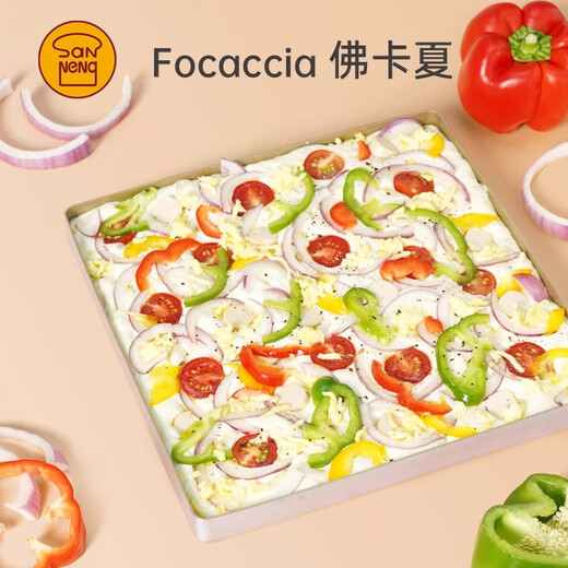 SANNENG non-stick baking pan tiramisu cake bread macaron Swiss roll mold gold plate Cantonese mooncake SN13123