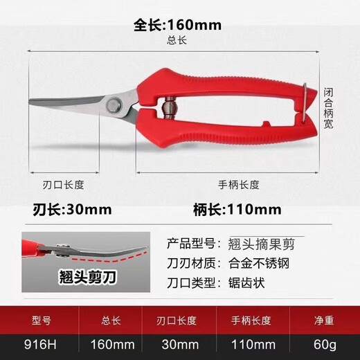 Yeyu stainless steel large tilt-head fruit picking scissors, tomato navel orange fruit scissors, special scissors for oranges and grapes, stainless steel tilt-head pruning scissors, 1 pair, with serrations for sharper