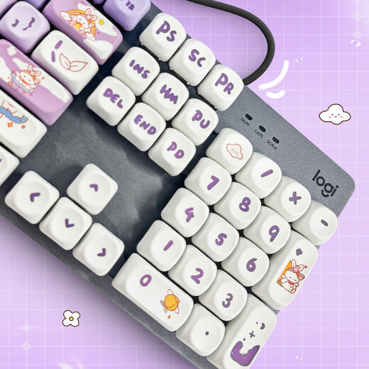 罗技（Logitech）K845机械键盘背光有线键盘 游戏电竞键盘 茶青红轴键盘DIY键帽 办公游戏键鼠套装 全尺寸104键盘 K845-紫色渐变兔键帽 茶轴