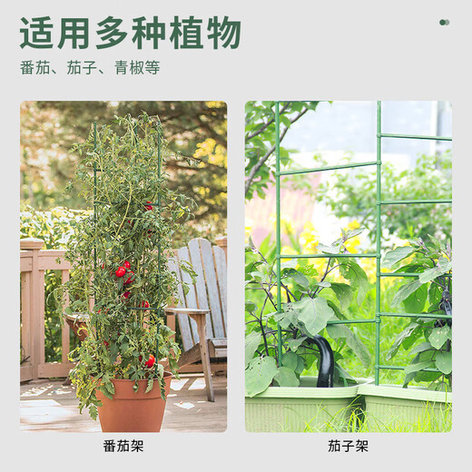 Tomatenstand Tomatenstand Balkon Pflanzständer Bohnen Gurke Kletterständer Blumen und grüne Pflanzen Stütze Ständer 11mm*90 cm drei Pole Sechs Karte (30 cm)