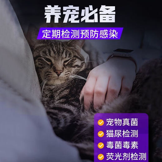 MOTIE Purple Lamp Identification Wood's Lamp UV Flashlight 365nm Fruit and Vegetable Fluorescent Detection Pen Plate Banknote Inspection