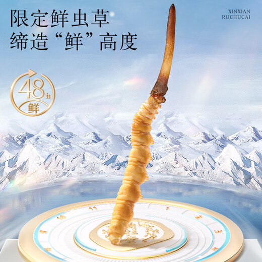 同仁堂品牌 北京同仁堂 鲜虫草冬虫夏草新鲜虫草礼盒无断草送礼送长辈 1盒 24g 3A鲜虫草30根 0.8-1克/条