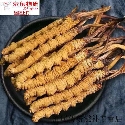 Peking Tongrentang [Schwarzer Freitag] Cordyceps sinensis Cordyceps Trockenwaren zu Beginn der ersten Periode des Weins und machen Suppe. Wählte zwei Cordyceps ein Gramm aus [20 Taschen Stücke