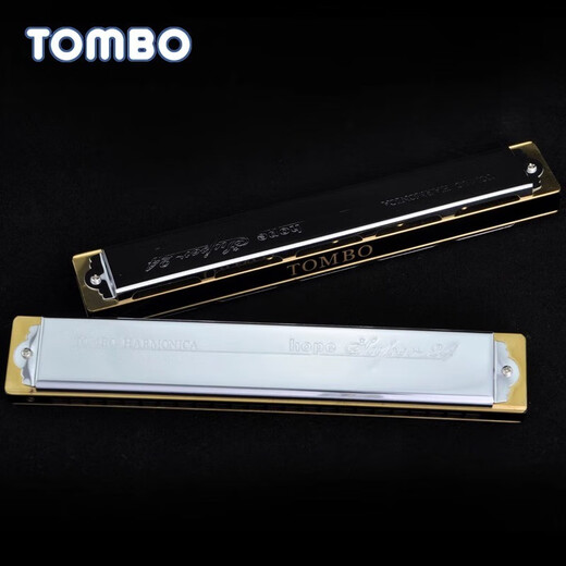 通宝（TOMBO）通宝TOMBO6624s套装12调7调口琴高级成人专业演奏级初学者自学 6624S【高端演奏级】12调