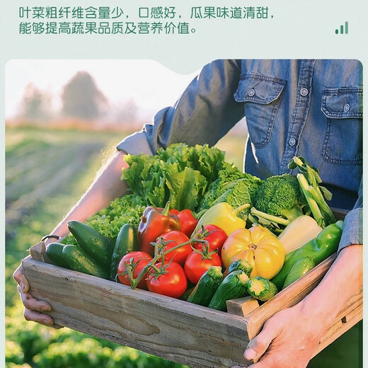 Stanley Genuine Stanley Agricultural Powdered Potassium Sulfate Fertilizer Water-soluble Instant Potash Fertilizer High Potassium Fertilizer Pure Potash Fertilizer Fake One Pay Ten Large Granules 50 Jin Jin equals 0.5 kg One bag of Stanley Granules Insoluble