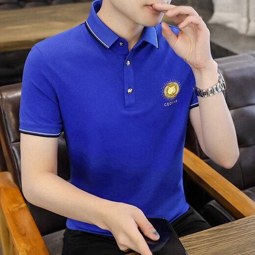 FJLT轻奢高档品牌polo衫男士T恤夏季新款时尚短袖翻领商务透气上衣 F6628（绿色） XL (建议130-145斤)