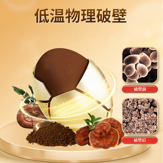 Correct the broken wall Ganoderma lucidum spore powder genuine flagship store manager Baishantou Dao Chi Ganoderma lucidum postoperative nutritional supplement gift cc one bottle 100g