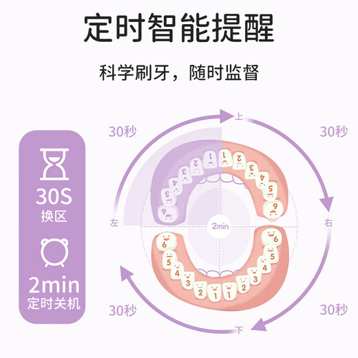 葆氏儿童电动牙刷3-6-12岁-15岁声波震动充电式牙刷机身*1+刷头*3紫色