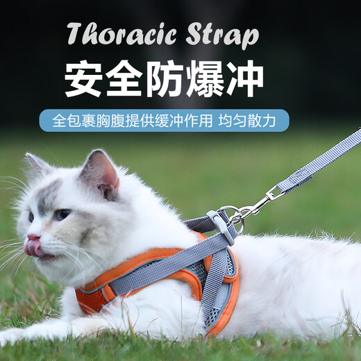 Zhixiangguo cat traction rope to prevent escape from going out, special breathable chest and back traction rope for spring and summer outdoor vest-type cat walking artifact, reflective chest and back traction rope blue, light and breathable XS recommended 3-6Jin Jin is equal to 0.5kg weight