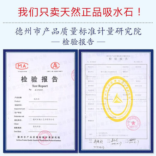 Absorbent stone flower pot, natural strange stone, absorbent stone, water-absorbing stone, raw stone stone pot, calamus succulent potted plant, bonsai micro-scape, 10-12cm stone pot + round base + grass seeds