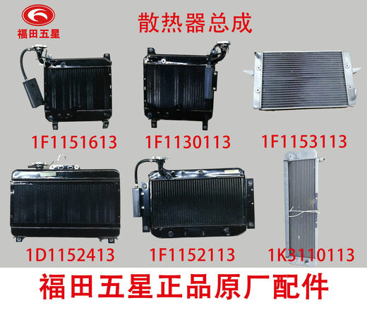 Dreirad originalzubehör Wasserkühlkühler Kühler Kühler Wassertank Dreirad Wassertank Futian Doppelschockdämpfer Wassertank 1F11301