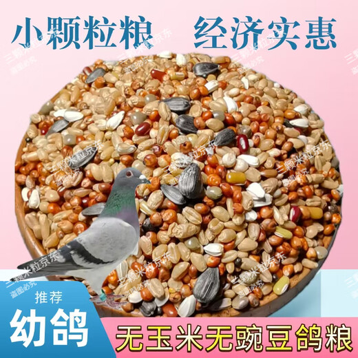 New pigeon food 20 Jin Jin is equal to 0.5 kg. Corn-free pigeon food with corn pigeon feed racing nutrition pigeon food for adult and young pigeons 5 Jin Jin is equal to 0.5 kg. Corn-free pigeon food without peas 20 Jin Jin is equal to 0.5 kg.