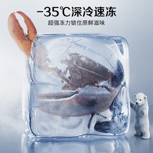 Xingxing (XINGX) [must-have for stocking up] Xingxing freezer commercial large capacity freezer 518/718 liters L Fully refrigerated large freezer Preservation dumplings/meatballs/fresh meat large freezer [408 liters-35] 1.356 meters Electronic temperature control with lock