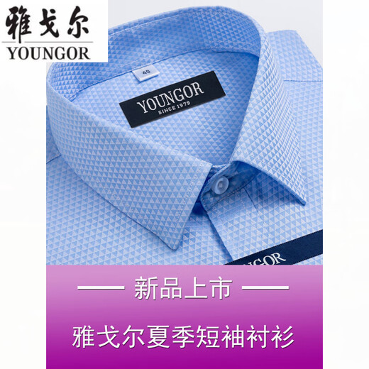 雅戈尔衬衫男短袖夏季2025薄款中年男装寸衫职业休闲衬衣透气 短袖DX6630 38 建议【70-95斤】