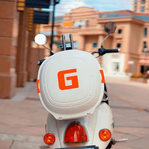 National Standard Elektrofahrzeug Kofferraum Little Turtle Queen Kofferrad Fahrrad Werkzeugkasten Aufbewahrungsbox Elektrofahrzeug Folie zurück 9928 Jazz Weiß + Streifenzubehör klein