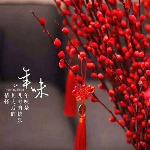 Red Lucky Silver Willow, Dried Flowers, Real Flowers, Fresh Branches, Cold-resistant New Year's Eve Flowers, Hydroponic Flowers, Indoor Decorative Flowers, 60cm, 30 Count, Free Lanterns