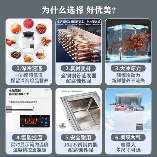Haoyoumei Ultra-Low-Temperatur Gefrierschrank-60-Grad Haushalt schneller Gefrierschrank tief kalte Fischgefrierschraffender Gefrierschrank Gewerbeberechte Lachsgefrierschrank minus 65 Grad 695 Liter [1950*880*940 mm]