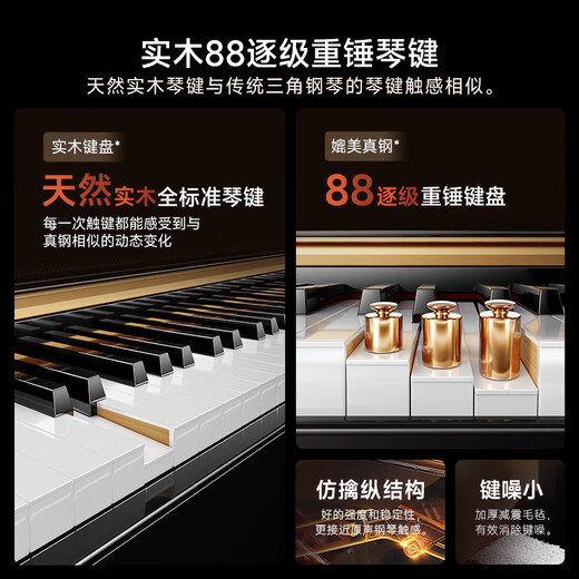 Betsy B321 Vertical Electric Piano Hammer Hammer 88 Key Solid Xylophone Key Adult Home Practice Professionnel Débutant Palais électronique Palais Palais - B321 AUDIO WOOD CLEY STYLE - Black