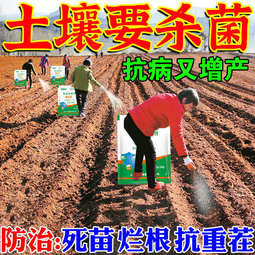 Zhonggu Nongkang (ZGNK) soil fungicide special for agricultural soil-borne diseases disinfection and sterilization soil anti-heavy crop dead seedling rot and root rot fungicide soil pathogen cleaner 1 bag small quantity is not enough