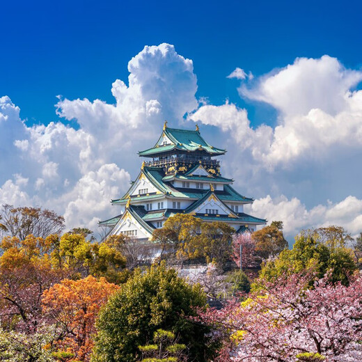 Air tickets included, 5-9 days Japan free travel, Osaka, Kyoto, Nara, Mount Fuji, Tokyo hotel chartered day trip