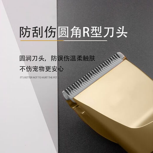 High-power pet electric clipper, dog shaver, cat Teddy grooming clipper, shaving feet, champagne gold daily set, high-power, non-stuck hair clipper
